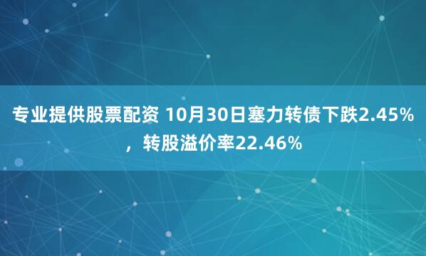 专业提供股票配资 10月30日塞力转债下跌2.45%，转股溢价率22.46%